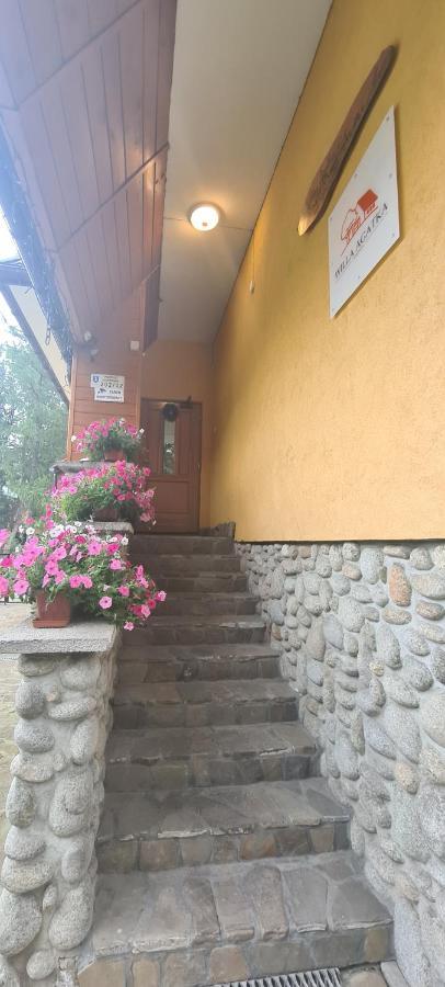 Willa Agatka Zakopane Exteriör bild